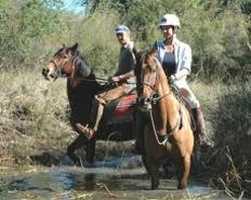 Horse Safari Moolmanshoek Private Game Reserve